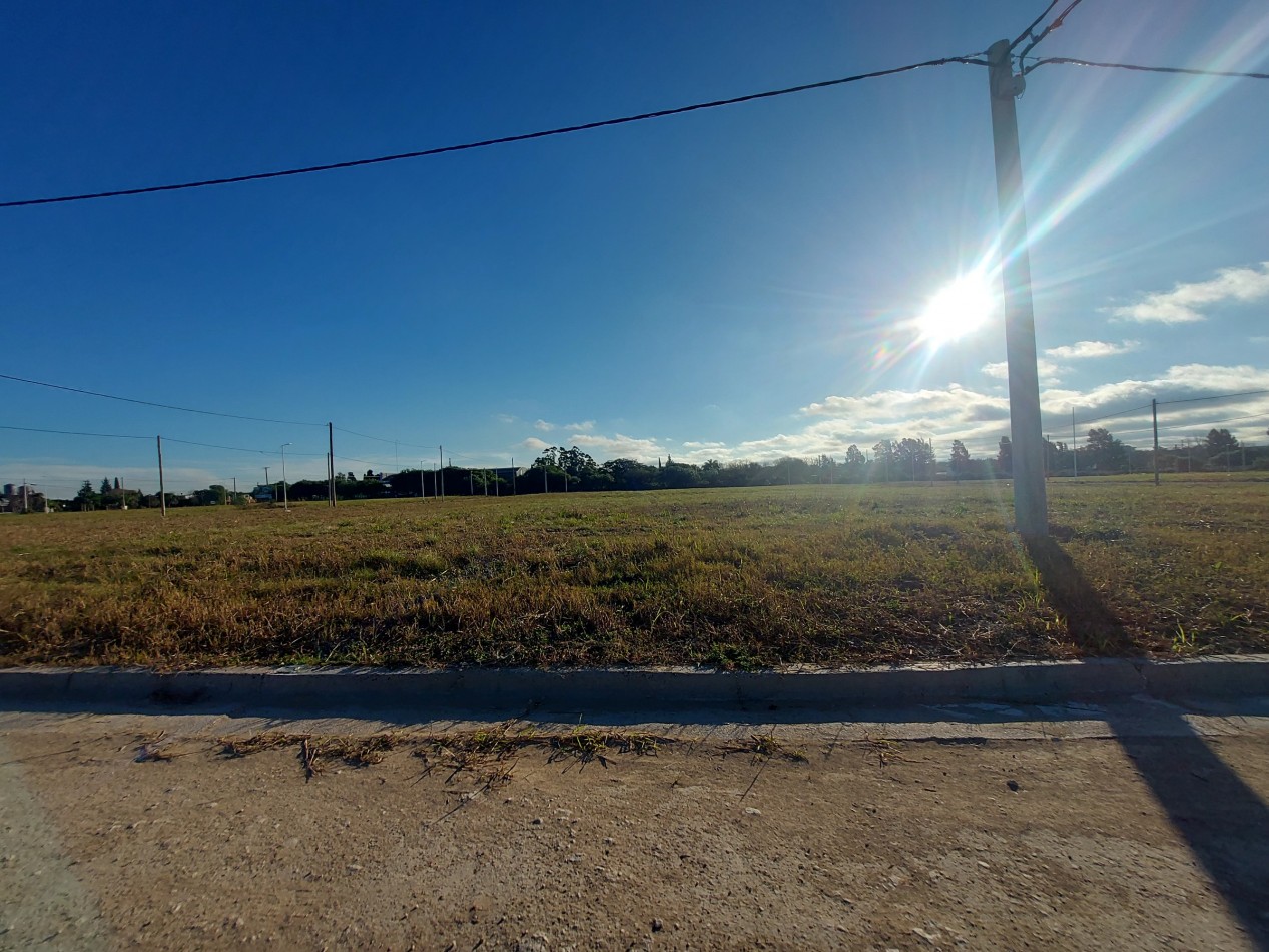 EXCELENTE TERRENO EN LOTEO SANTA TERESA, COLONIA AVELLANEDA