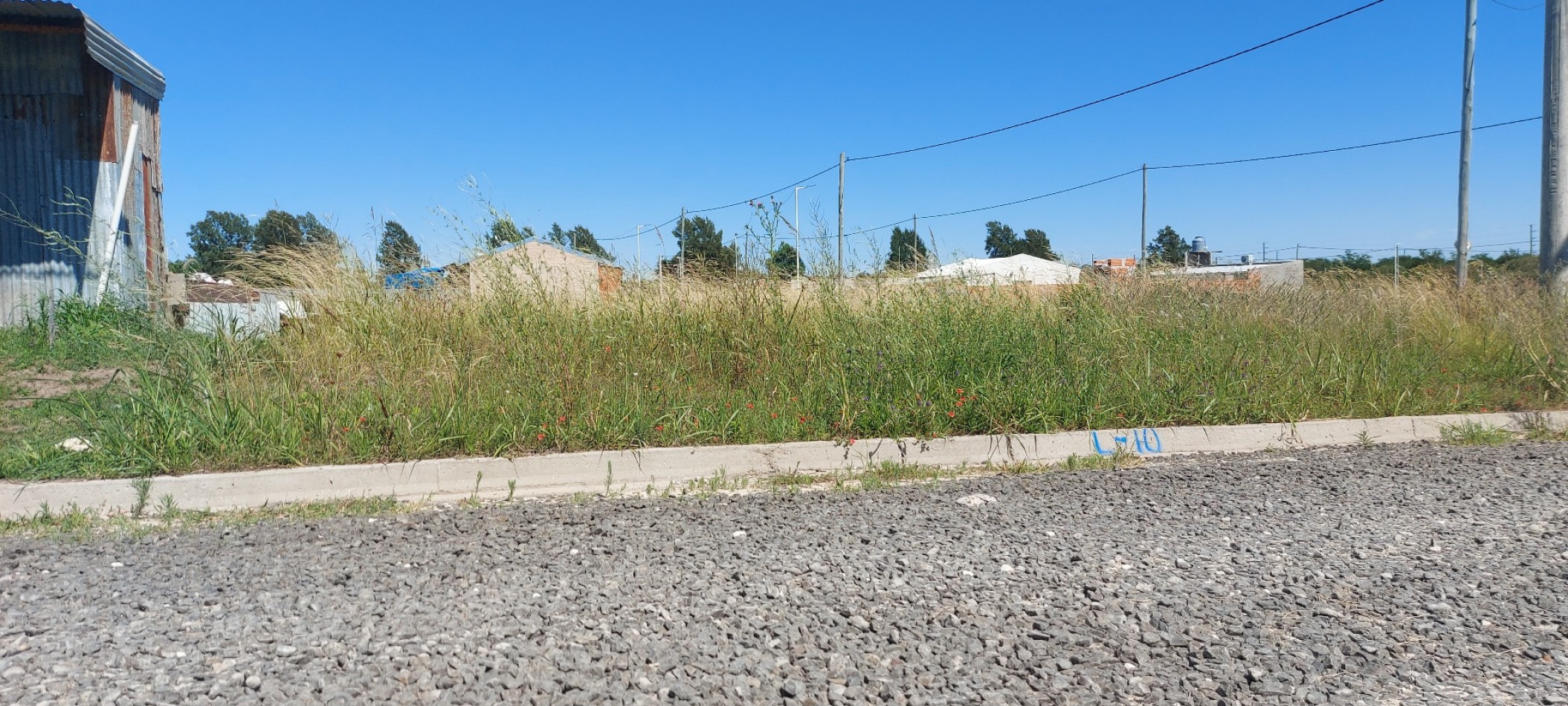 Terreno en venta, Santa Teresa, Colonia Avellaneda