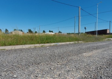 Terreno en venta, Santa Teresa, Colonia Avellaneda